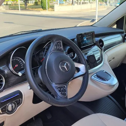 Professional private chauffeur in Mandelieu