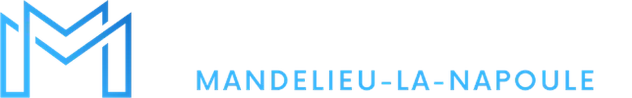 logo chauffeur vtc mandelieu la napoule mm transport
