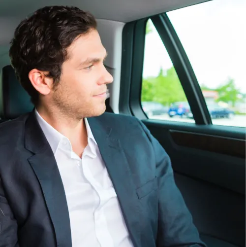 Business chauffeur transport in Mandelieu